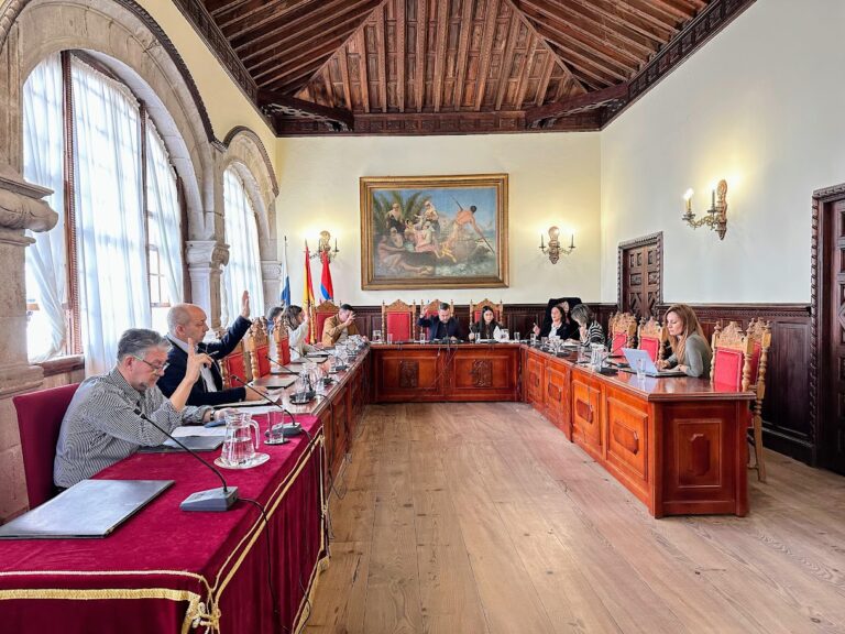 El Organismo Autónomo Local de la Bajada de la Virgen mantiene los mismos precios de los espectáculos de 2015 para estas Fiestas Lustrales