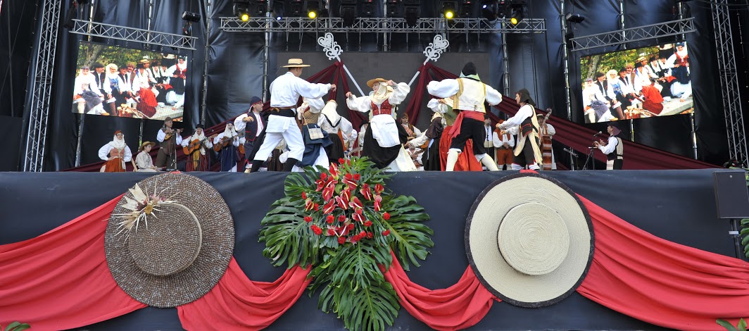 Lee más sobre el artículo Festival folklórico regional